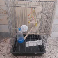 قفس پرنده