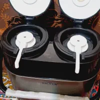 فلاکس دو قلو پمپی مارک سیلور ژاپن