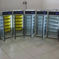 دستگاه جوجه کشی+ضد باکتری و ضد قارچ