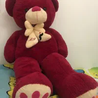 جنس خارجی|اسباب‌‌بازی|گنبد کاووس, |دیوار