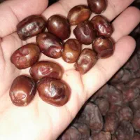 نقلی خشک آجیلی|حراج|شادگان, |دیوار