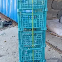 استخدام نیرو برای بستنه بندی سبد میوه