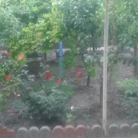 فروش خانه ویلایی ۳۱۵مترزمین و۱۵۰ متر بنادر چاهشک|فروش خانه و ویلا|مشهد, سجادیه|دیوار