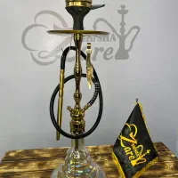 ویزیتور خانم حضوری و غیر حضوری