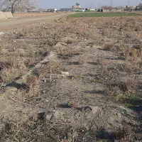زمین 250 متری با سند ششدانگ ملکی و موقعیت عالی|فروش زمین و ملک کلنگی|مشهد, خواجه ربیع|دیوار