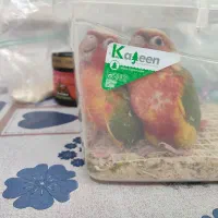 جوجه گرینچیک نرمه خور