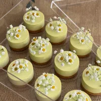 چیز کیک ، باکس خواستگاری