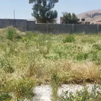 زمین|فروش زمین و ملک کلنگی|شیراز, کفترک|دیوار