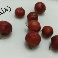 رملک می‌خوام