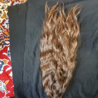 پل(مو) مخملی ایسونم