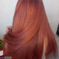 کلیه خدمات رنگ و مش