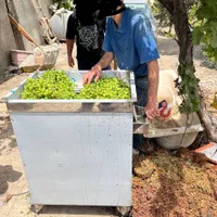 آبغوره گیری،دستگاه آب غوره گیر،پرسی استیل غوره|فروشگاه و مغازه|تهران, یافت آباد جنوبی|دیوار