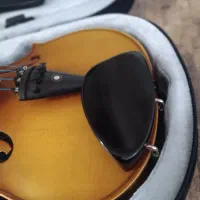 ویالون تی اف سایز ۴/۴|ویولن|شیراز, دشت چنار|دیوار