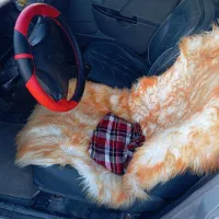 پراید 131مدل 91|خودرو سواری و وانت|چابهار, |دیوار