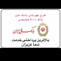 ضامن A و b و هستیم با چک برای وام مهربانی