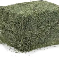 یونجه چین اول