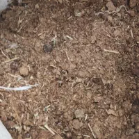 کودخشک گوسفند رایگان