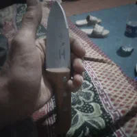 کارد سلاخی پناهنده