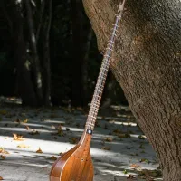 آموزش تخصصی سه تار