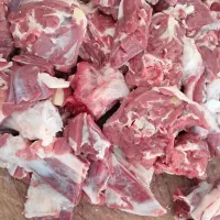 گوشت شتر|خوردنی و آشامیدنی|بجنورد, |دیوار