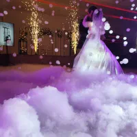 دی جی حرفه ای با سیستم صوت و نور