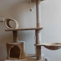 درخت گربه(اسکرچر)