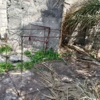 قفس پرنده و مرغ