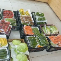 استخدام فروشنده خانم یا آقا جهت میوه بسته بندی