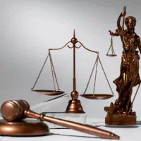 وکیل پایه یک دادگستری / متخصص امور کیفری