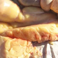 روغن خر،یاروغن الاغ