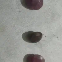 تعدادی یاقوت بسیارزیباونجرال|جواهرات|صباشهر, |دیوار