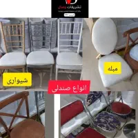اجاره صندلی دیجی مهماندار گل و بادکنک آرایی فینگر|خدمات پذیرایی، مراسم|تهران, تهرانسر مرکزی|دیوار