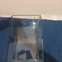 آکواریم|ماهی|مشهد, چهارچشمه|دیوار