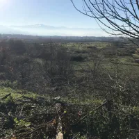 زمین|فروش زمین و ملک کلنگی|رشت, لاکان|دیوار