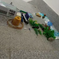 آکواریوم و ماهی|ماهی|مشهد, شهید آوینی|دیوار