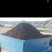 کودحیوانی یا پهین دوساله|خدمات باغبانی و درختکاری|سنندج, |دیوار