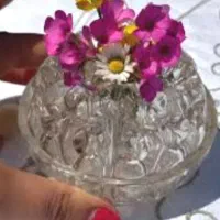 کلکسیون گلدان های قدیمی