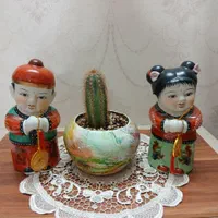 دوعدد گلدان طبیعی|گل و گیاه طبیعی|تهران, مشیریه|دیوار