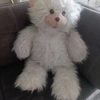 دو عدد عروسک خرس وگوسفند