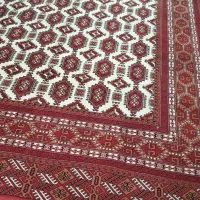 ریشه ابریشم ۹ متری