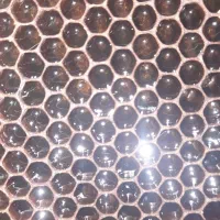 عسل طبیعی زنبور بومی