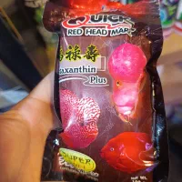 غذای تخصصی ماهی فلاور|ماهی|رشت, پل تالشان|دیوار