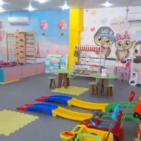 همکاری جهت کار در خانه بازی