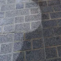 کفسابی / نماشویی / سنگ سابی / شستشوی نما، ساب زن
