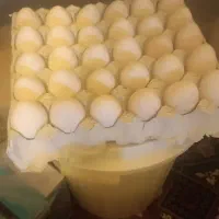 تخم بوقلمون تازه