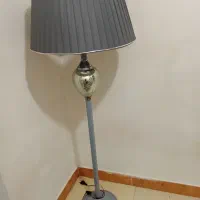 حد نو سالم