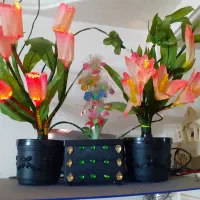 چراغ خواب شب تاب