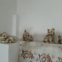 لوازم خانگی|مجسمه، تندیس، ماکت|ارومیه, |دیوار