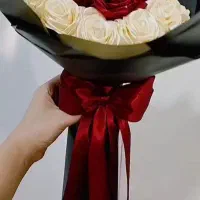 گل رز|گل و گیاه طبیعی|خرمآباد, |دیوار