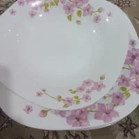 آکروپال۱۸نفره نونو